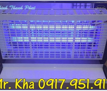 ĐÈN DIỆT CÔNG TRÙNG TTP